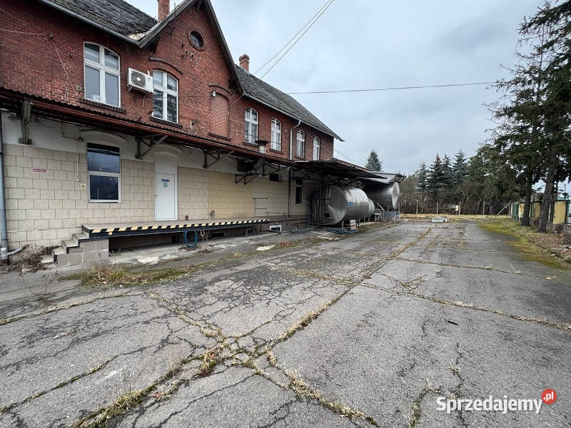 Syndyk sprzeda nieruchomość zabudowaną w 13586m2 Łambinowice