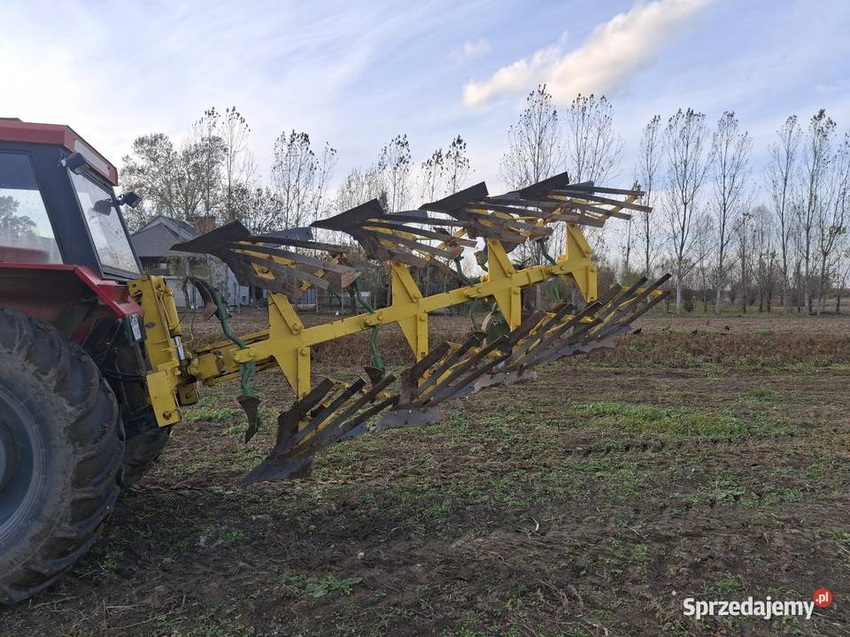 Pług widder 4 ażurowy Szczucin sprzedam