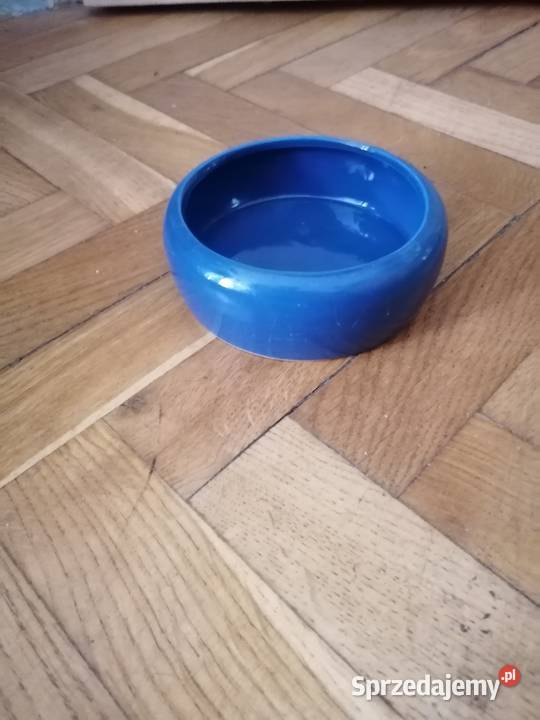 Pojemnik niebieski Gdańsk