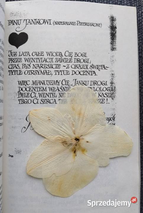 CO JEST GRANE PANIE JANKU Jan Pietrzak z Olsztyn