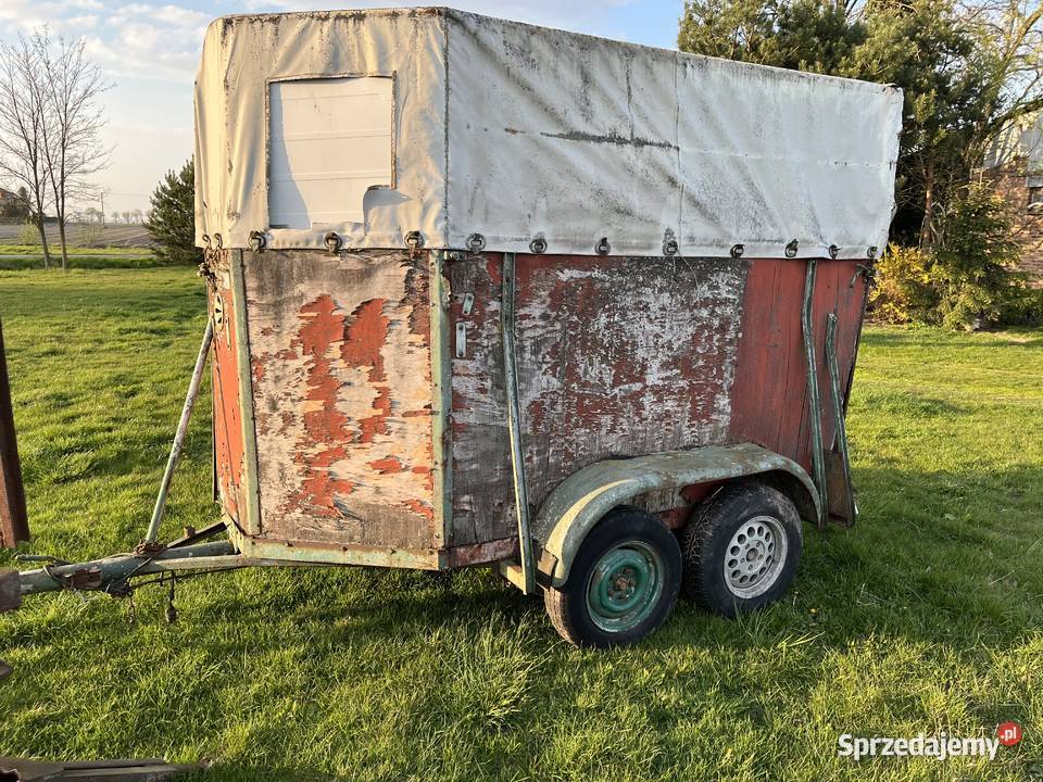 Przyczepa do przewozu koni bydła zwierząt Sieradz