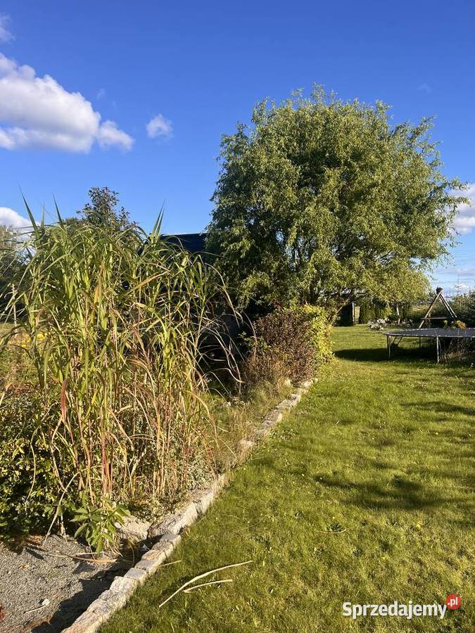 Działka 2826 m Strzelinko prąd altana kontener Sprzedaż sprzedam