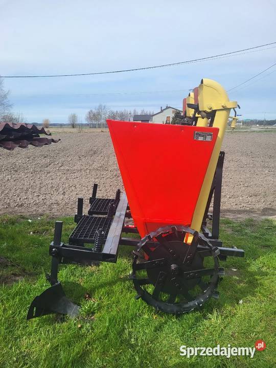 Sadzarka polska wielkopolskie Konin