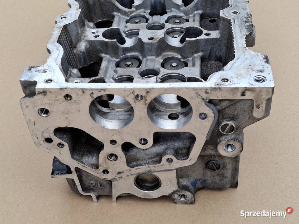NISSAN RENAULT GŁOWICA 5X0 2L 20DCI 22DCI 25DCI Bieleń