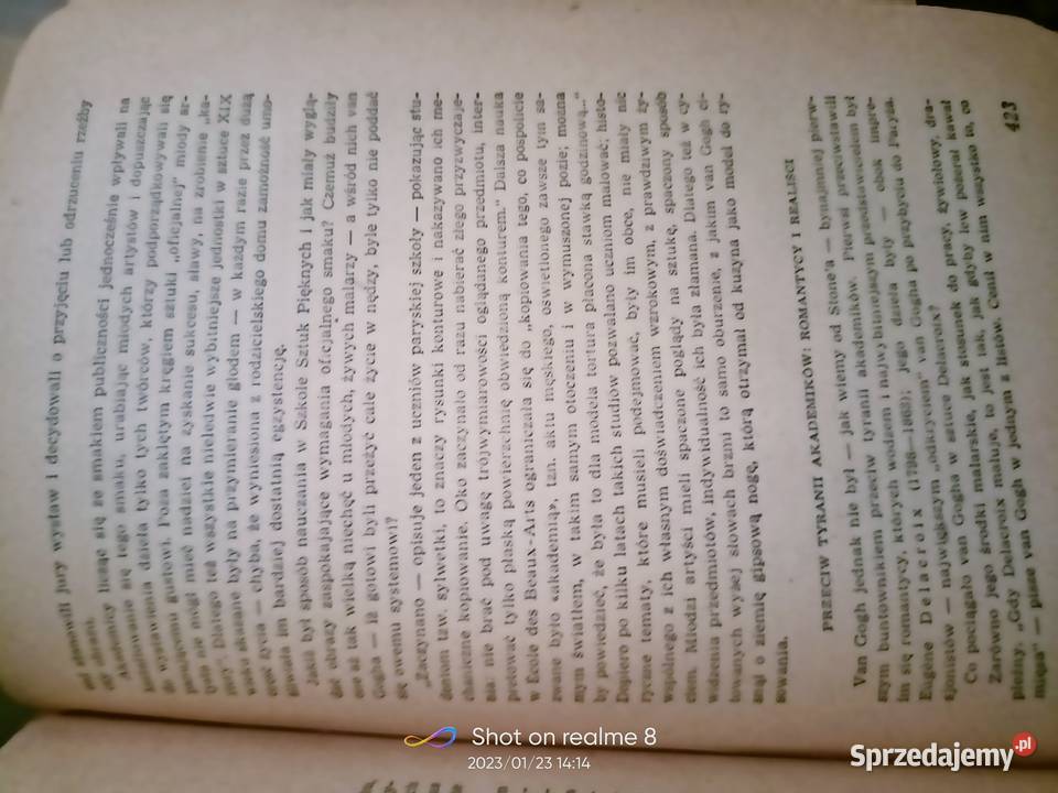 Pasja życia Stone biografia malarza Van Gogh Warszawa