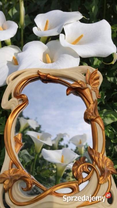 Lustro kwintesencja stylu secesyjnego Pabianice