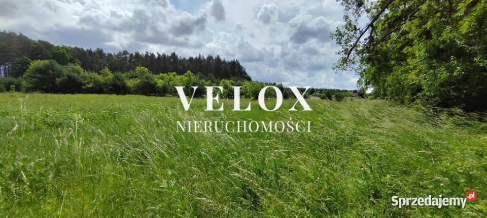inwestycyjna działka pod lasem zachodniopomorskie Żarnowo