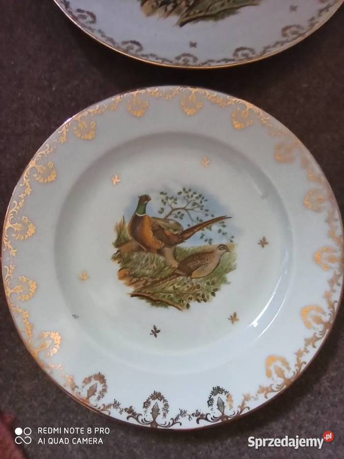 Serwis z ptakami Limoges Francja Gdańsk