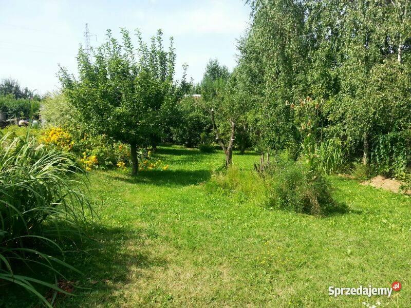 działkę ogrodową w ROD Zorza