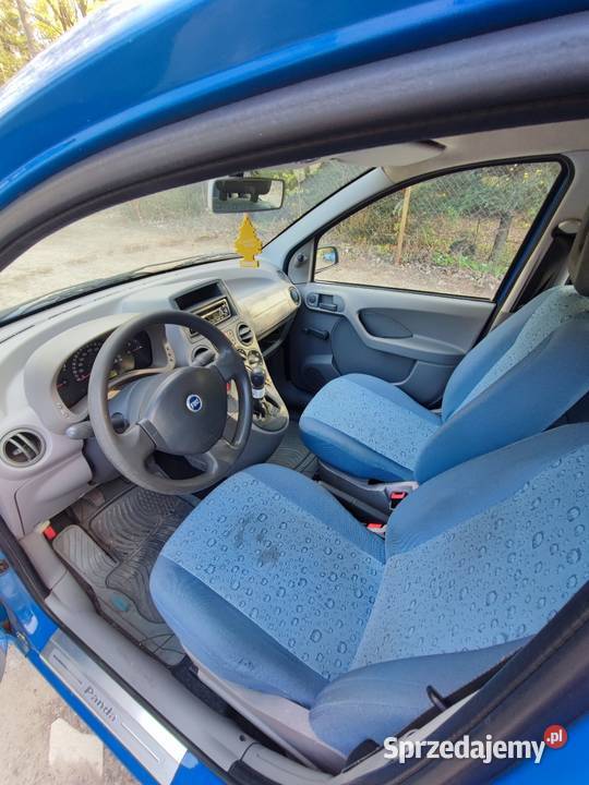 Fiat Panda Kielce