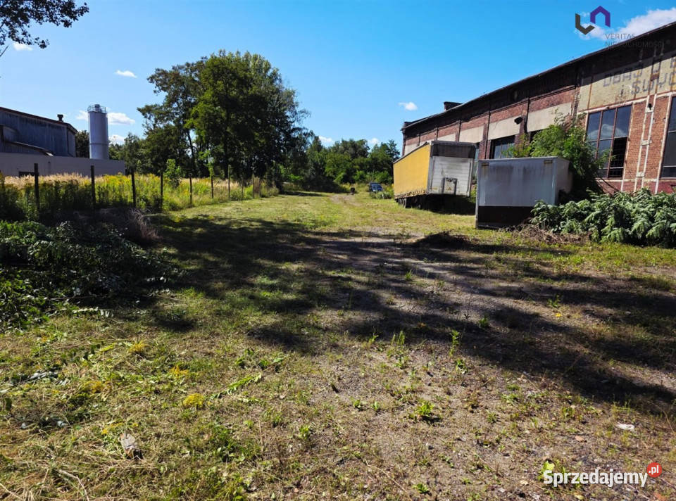 Lokal Zabrze 774m2 przemysłowy