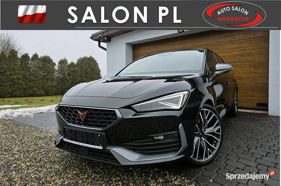 Cupra Leon serwis ASO panorama dach elektryczne lusterka Leon