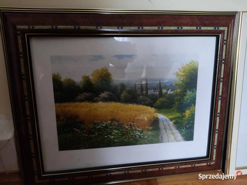 obraz obrazy szkłem wyprzedaż Gorzów Wielkopolski
