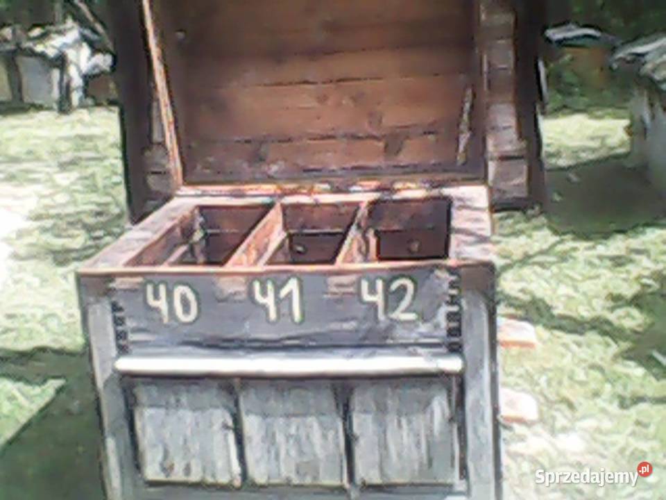 pszczeli mazowieckie Osówka