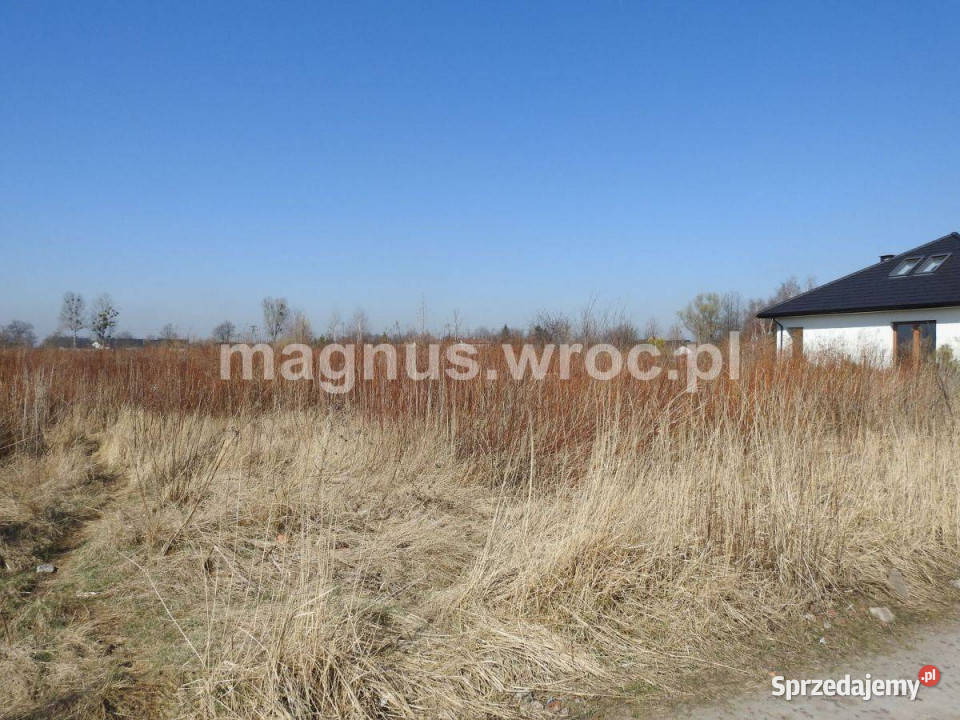 Działka zagrodowa w Suchym Dworze Suchy Dwór
