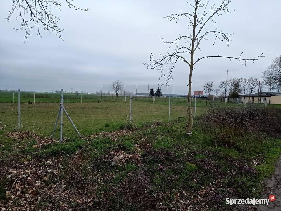 Działka z warunkami zabudowy Brody Nowy Tomyśl