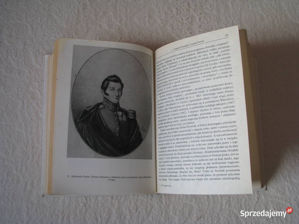 Dzieje Literatury polskiej Julian Krzyżanowski Brzegi sprzedam
