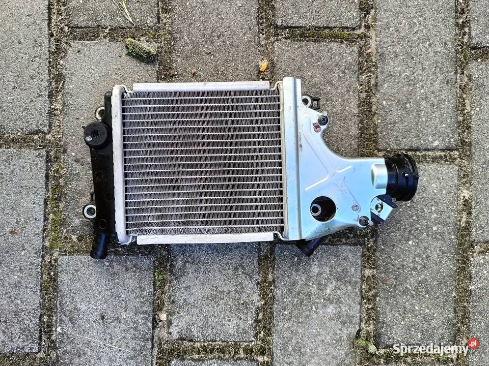 Honda Forza 125 chłodnica wielkopolskie