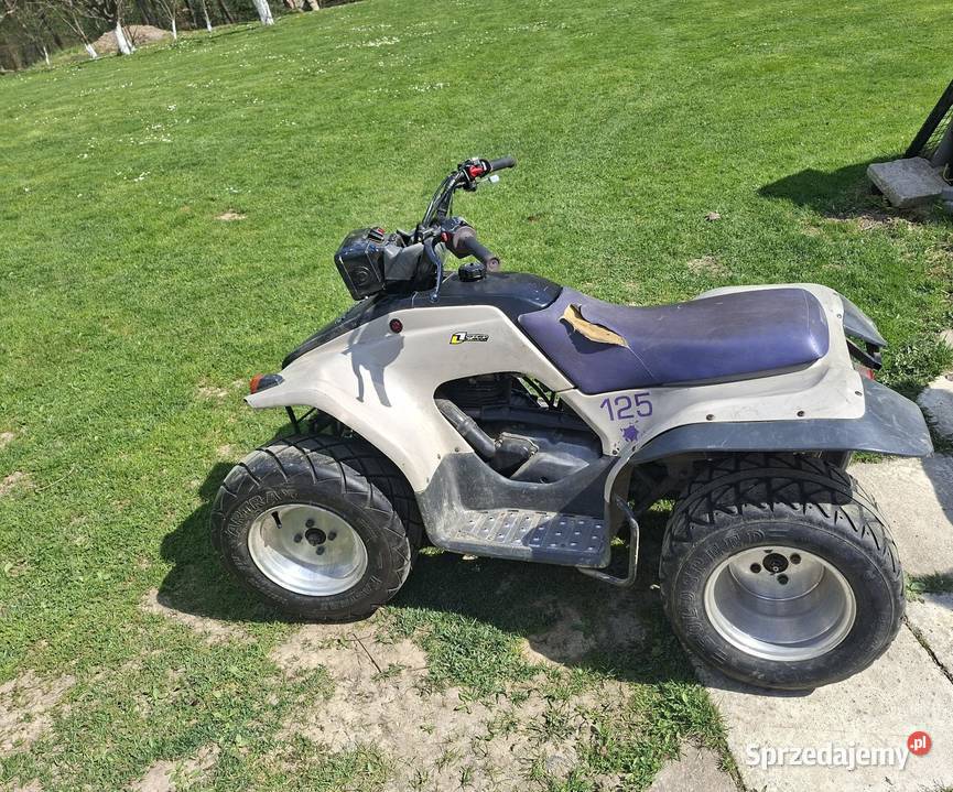 Quad yamaha breeze 125 małopolskie