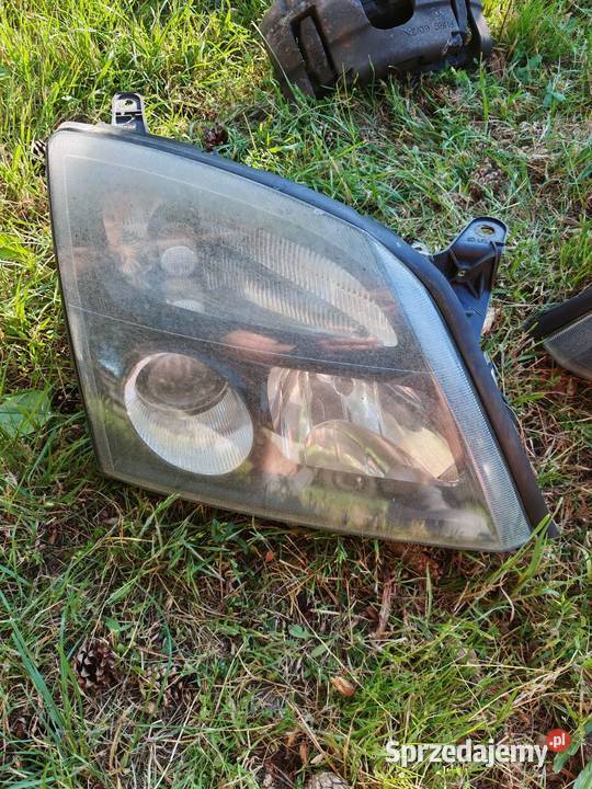 Lampy xenon Vectra C signum osobowe