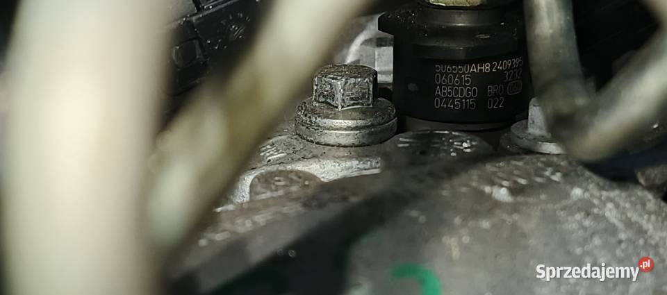 WTRYSK RENAULT ESPACE IV LIFT 20 DCI 0445115084 lubelskie Hrubieszów