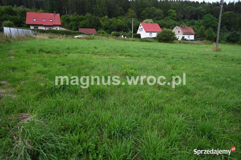 działka budowlana w Ludwikowicach budowlana Ludwikowice Kłodzkie