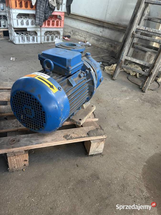 Pompa 65 PJM 150 4kW 2900obrmin wielkopolskie Śmigiel