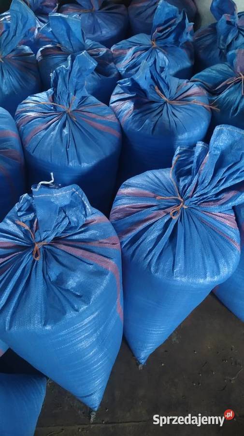 Pszenica jara Telimena Wierzbno