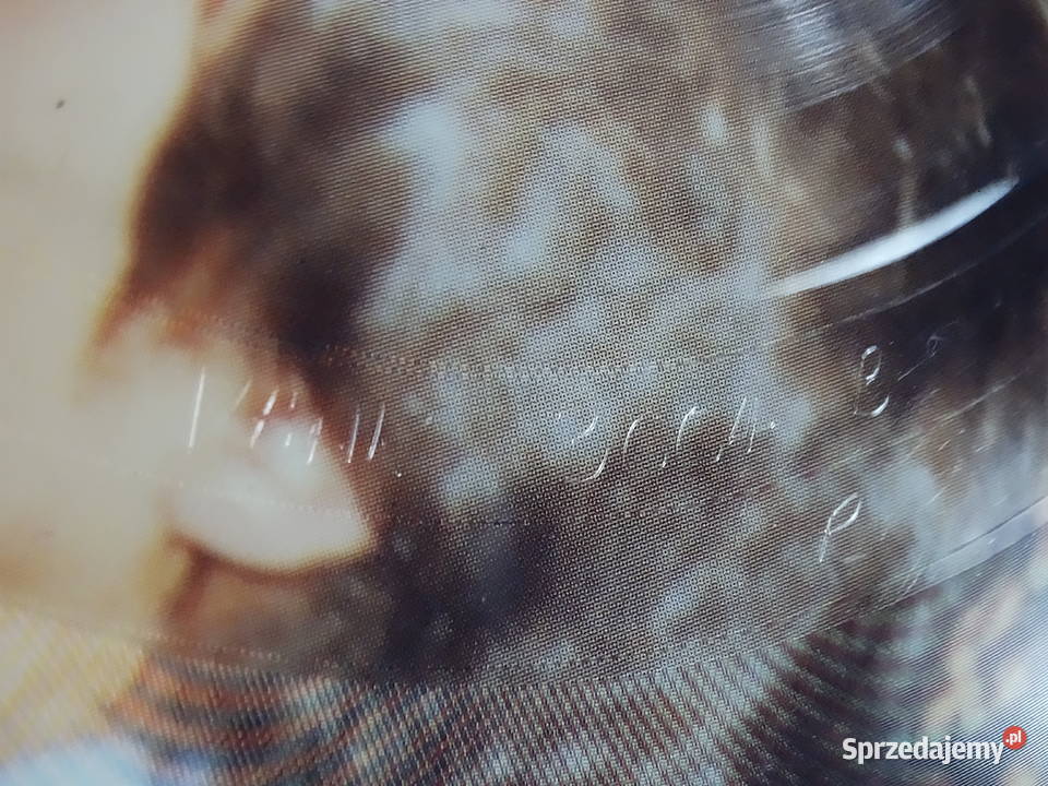 UNIKAT The Beatles Talk Downunder Vol 1 Picture płyta winylowa lubelskie Biłgoraj