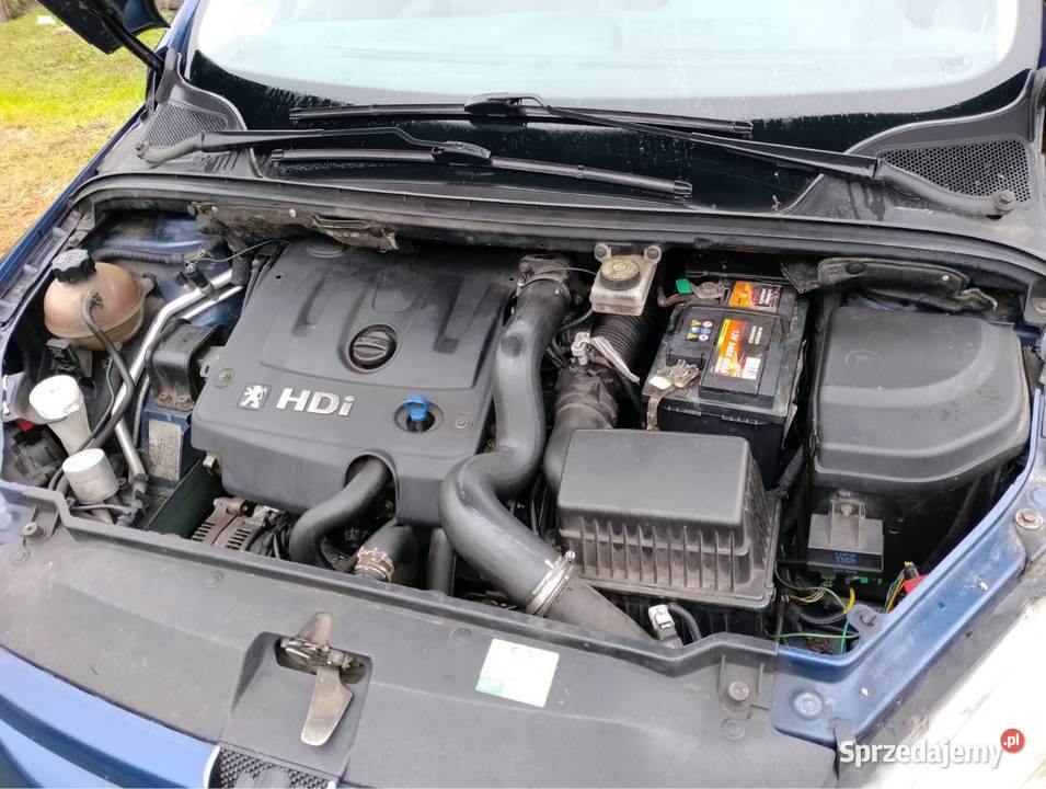 Peugeot 307 20HDi wielkopolskie Dziadowice-Folwark