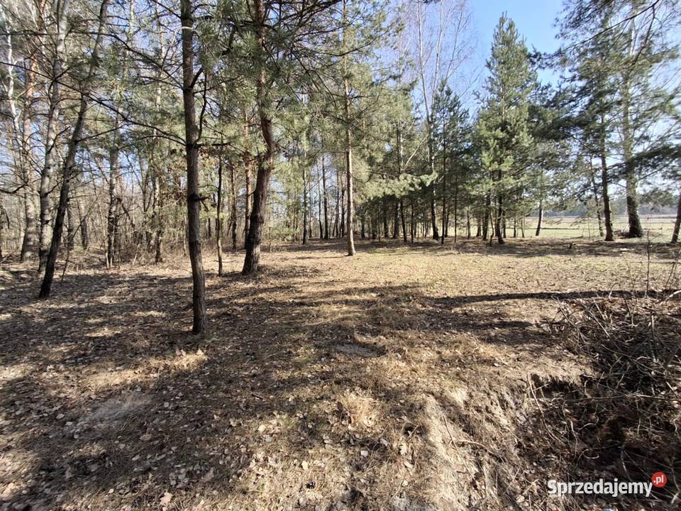 Piękna zadrzewiona działka budowlana w Wola Gardzienicka