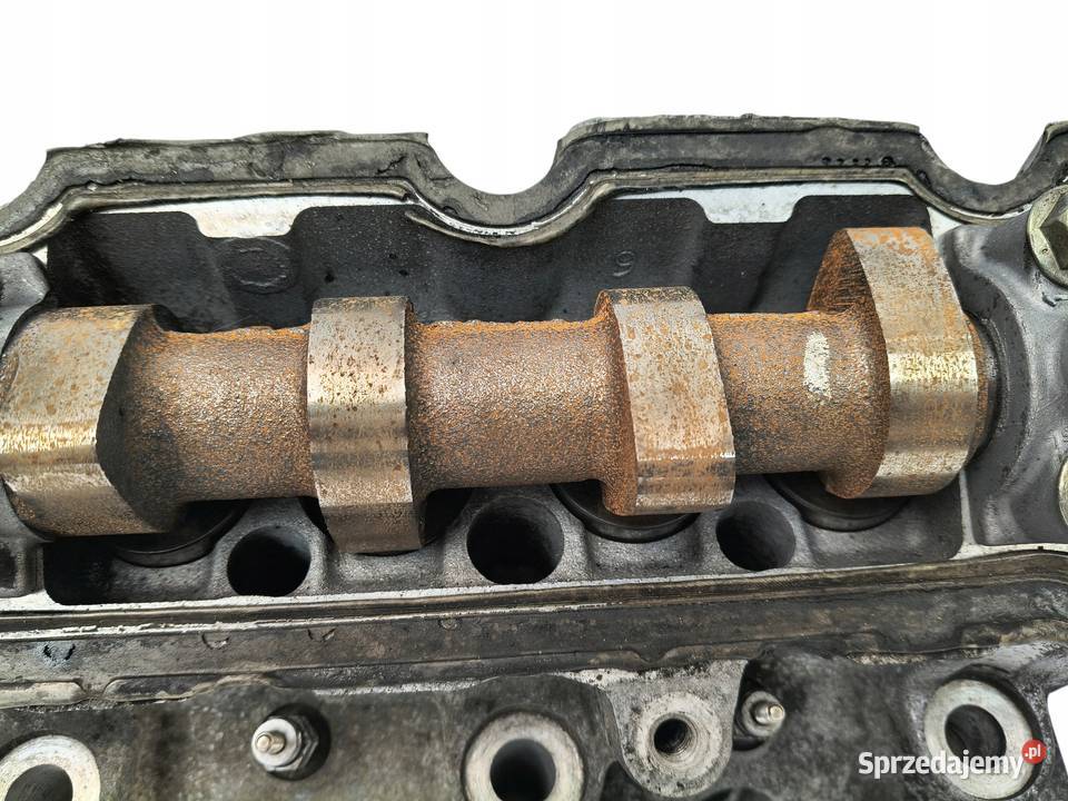 GŁOWICA Citroen Berlingo Partner 206 19 D lubelskie Chełm