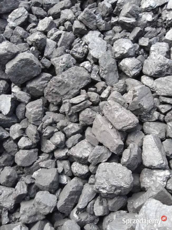 Orzech klasa 2832 Mj Polski Warta