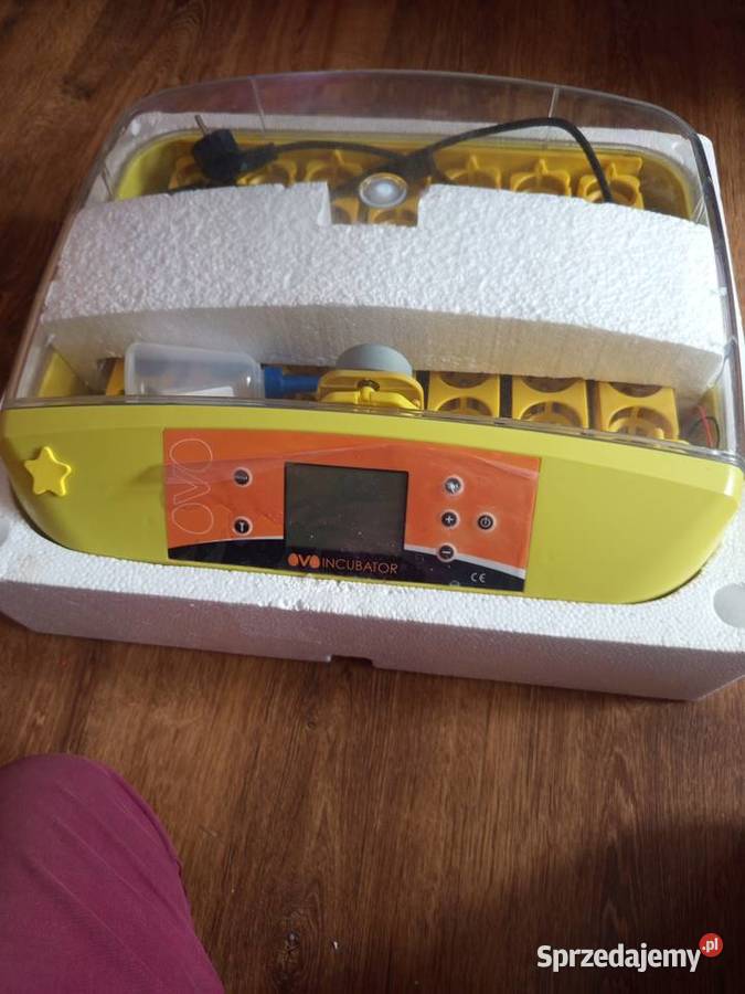 Inkubator OVO automatyczny 42 jaja Nabiał i jaja świętokrzyskie Tomaszów