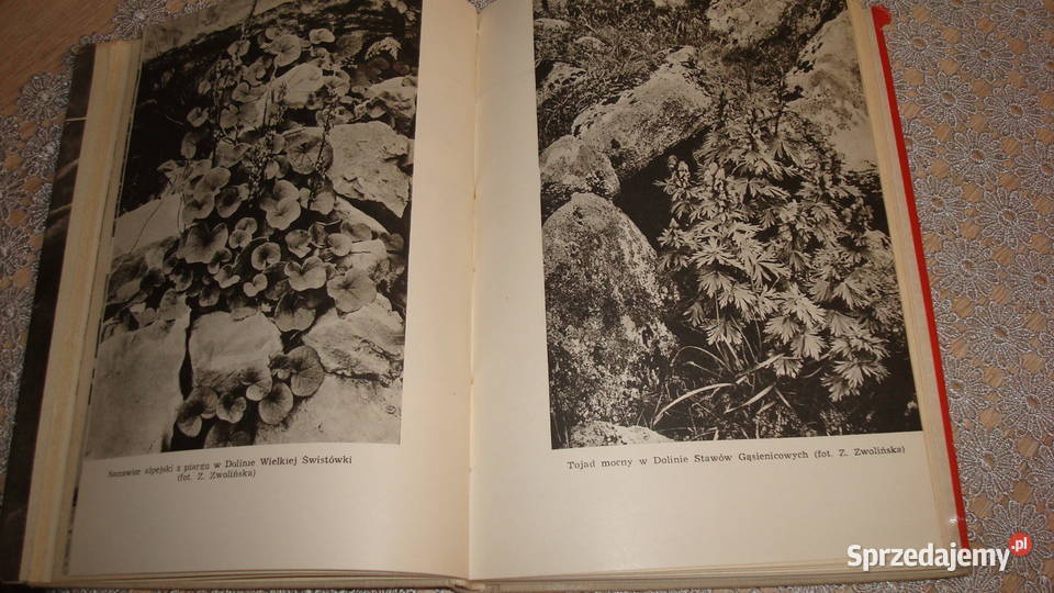 Z teki przyrodnika Szafer js biologia, ekologia Kruszwica sprzedam