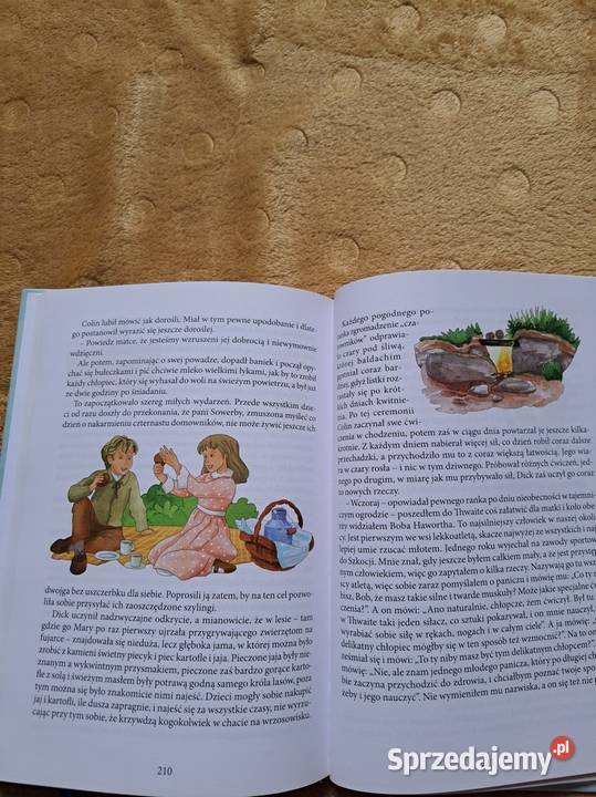 Klasyka młodego czytelnika Tajemniczy ogród Kraków sprzedam