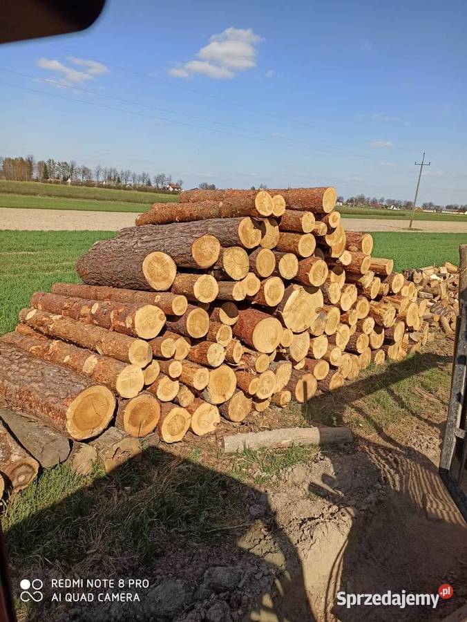 Wałki sosnowe modrzewiowe i świerkowe Iłża