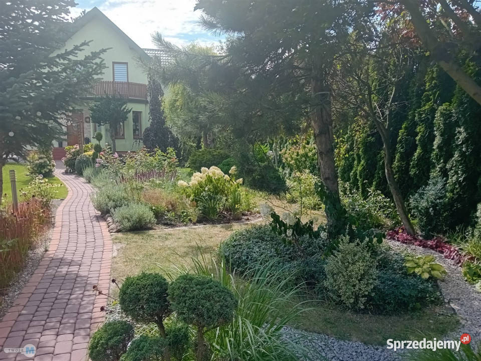 Dom 1548m2 BuskoZdrój 9625zł/m2 Busko-Zdrój