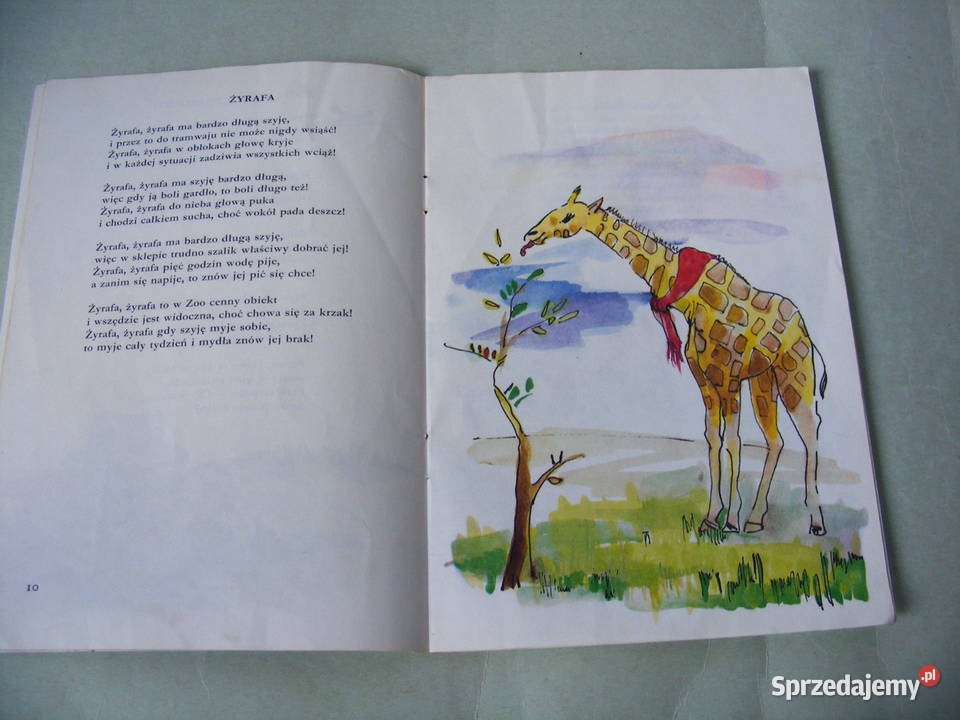 O zaginionych żeglarzach Wesołe ptaki Kot w Oborniki Śląskie