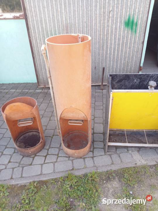 Paśniki świń kur Frampol