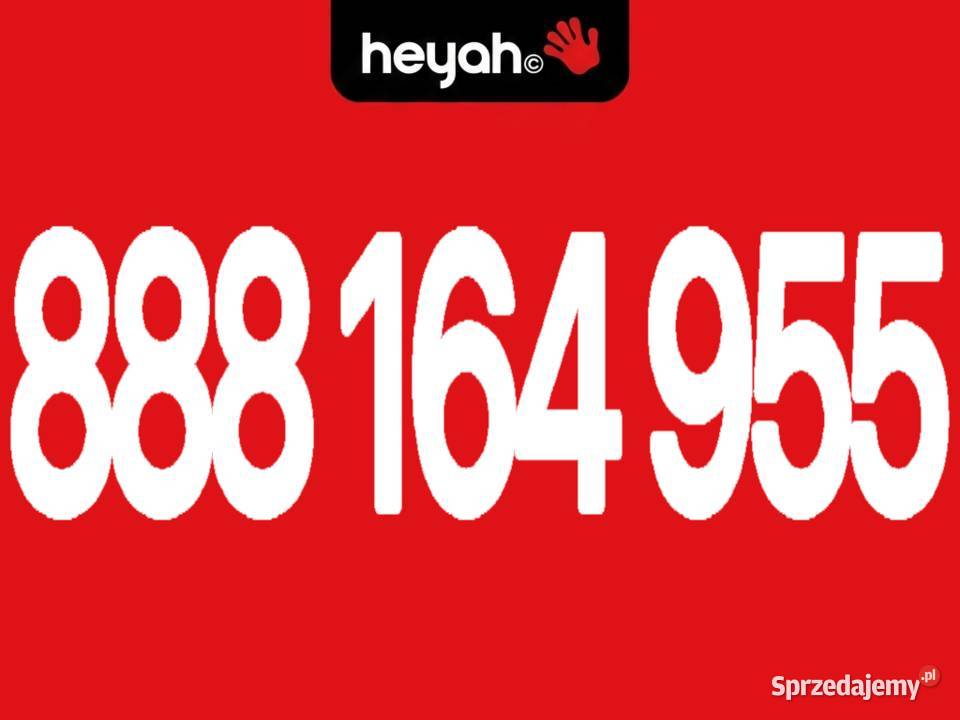 Złoty numer VIP 888164955 Idealny Biznesu Łomża