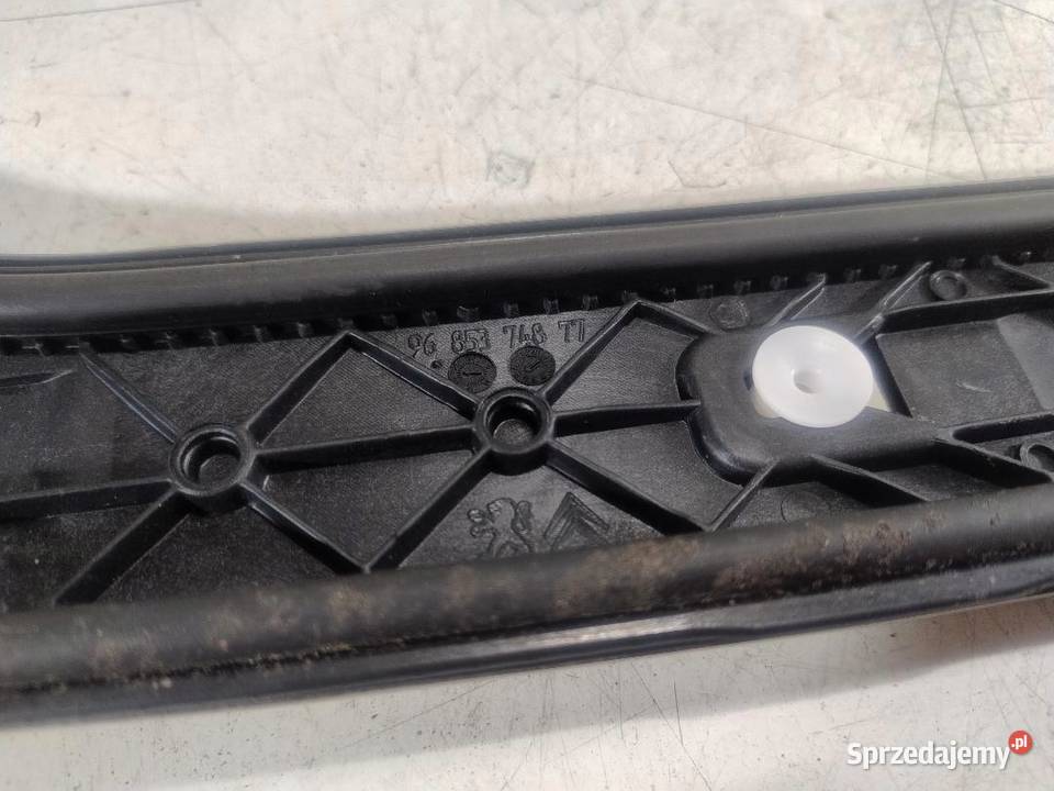 LISTWA DACHOWA CHROM CITROEN C3 II 9685374877 wielkopolskie