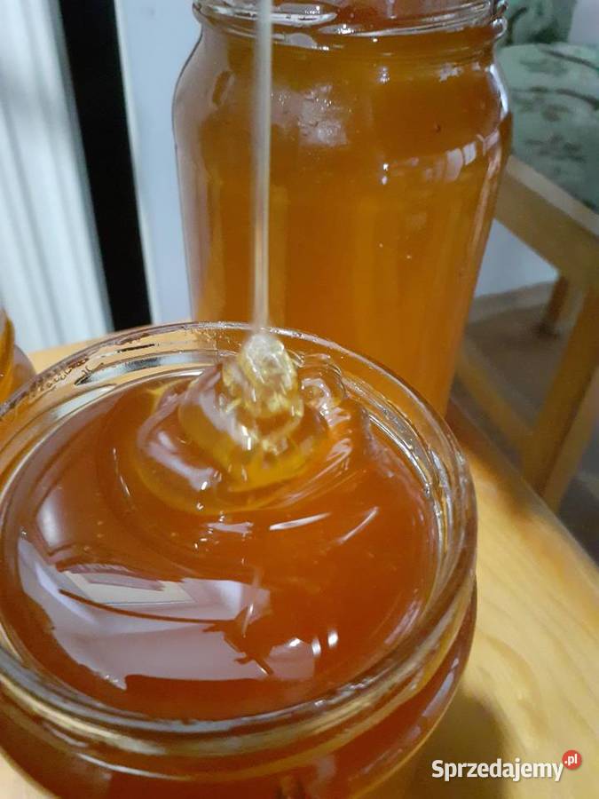 Martwę pszczoły Podmor Osyp pszczół Na prostate mazowieckie Warszawa