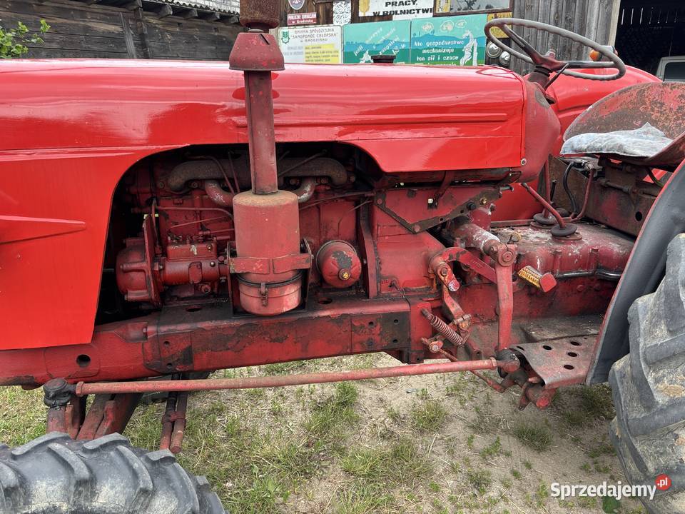 Ciągnik rolniczy David Brown 850 tanio do podlaskie Kosianka-Trojanówka