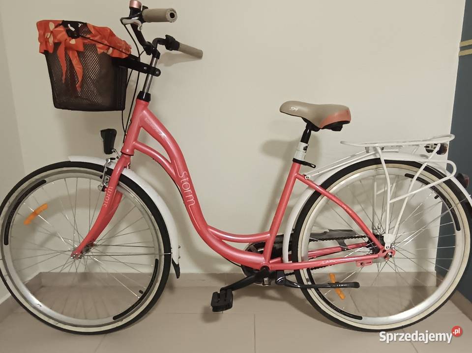 Damka 28 stan pomorskie Pruszcz Gdański sprzedam