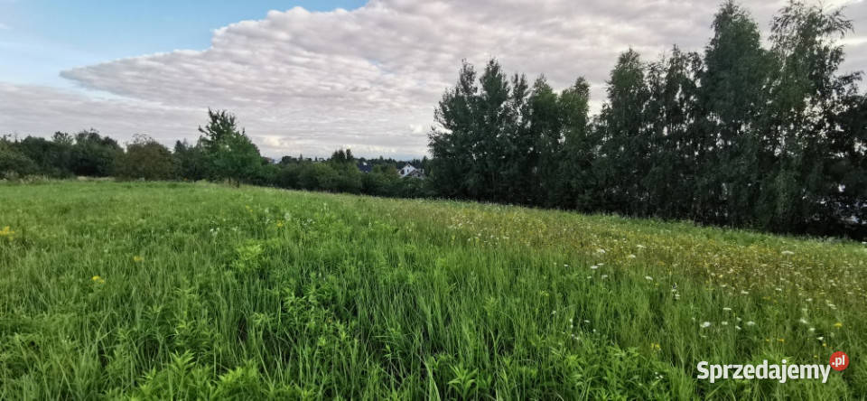 Działka budowlana świetna Brzozówka