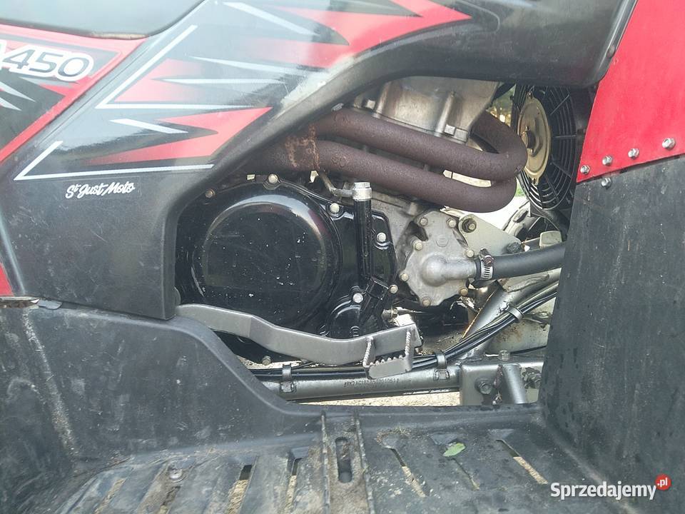 Quad 450 z dokumentami do rejestracji Dinli Mechowiec