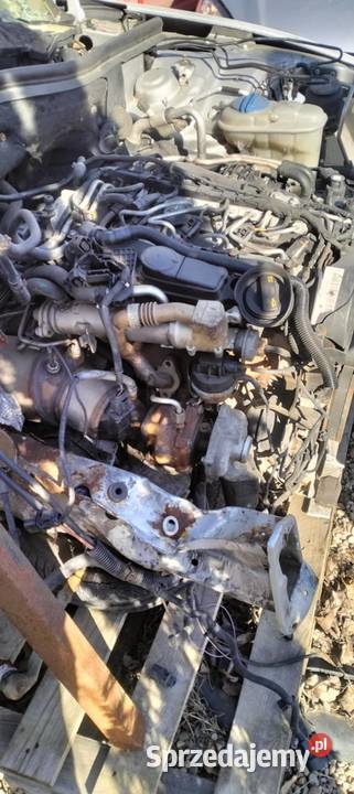 Silnik audi a6 20 diesel Słupsk
