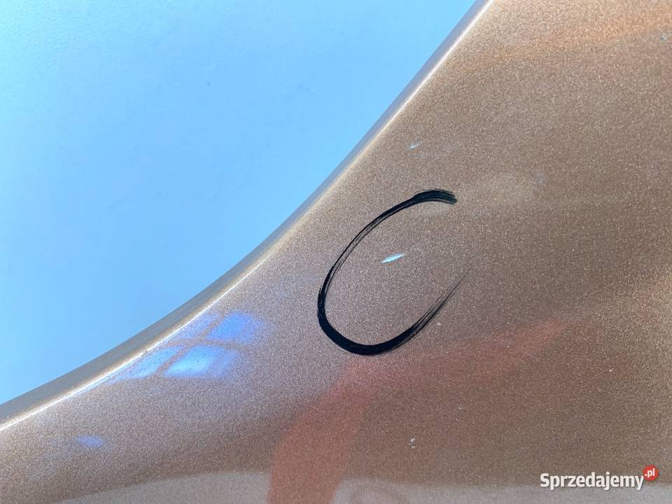 BŁOTNIK LEWY PRZÓD RENAULT TRAFIC III Bus