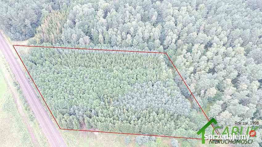 Działka 6219m2 Wysoka Kamieńska 14zł/m2